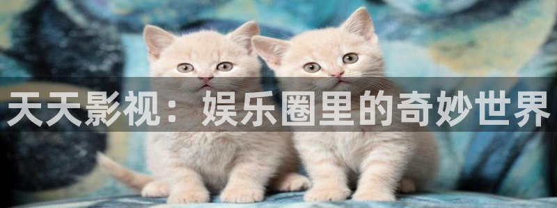 www樱花视频：天天影视：娱乐圈里的奇妙世界