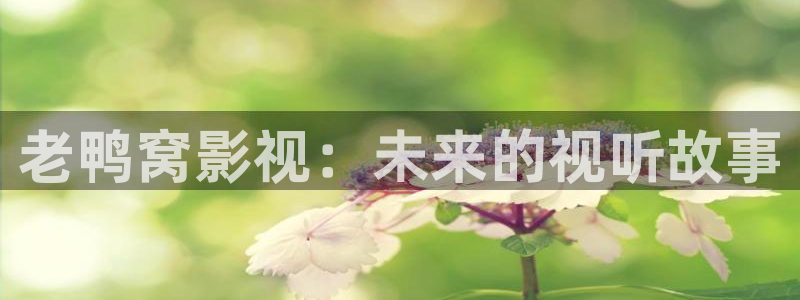 樱花视频国产一区
