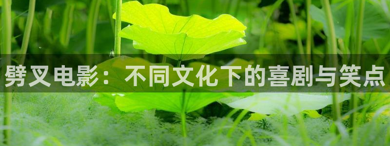 樱花视频高清观看电影：劈叉电影：不同文化下的喜剧与笑点