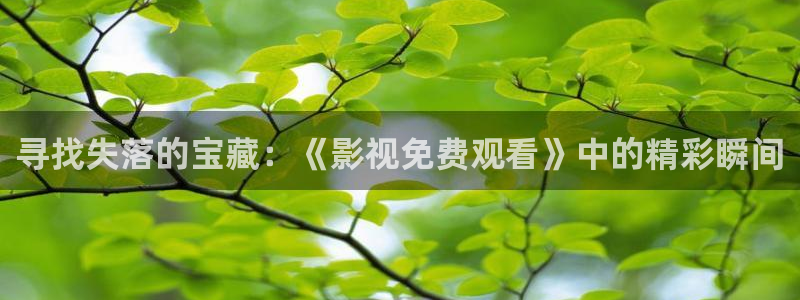 樱花影视在线免费：寻找失落的宝藏：《影视免费观看》中的精彩瞬间