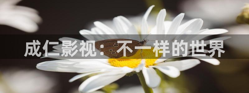 樱花视频免费看：成仁影视：不一样的世界