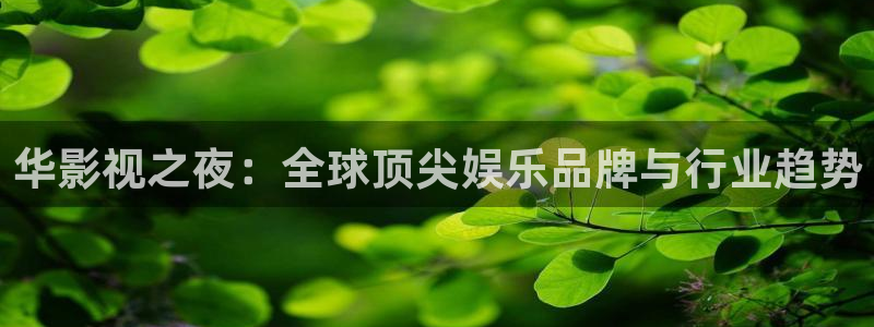 9.1樱花视频：华影视之夜：全球顶尖娱乐品牌与行业趋势