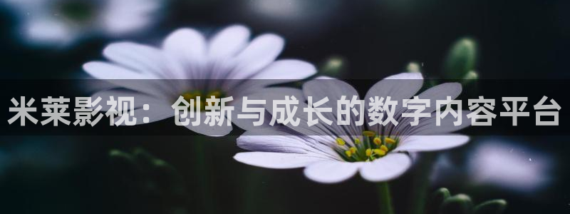我能触碰你的深处吗樱花视频：米莱影视：创新与成长的数字内容平台