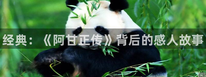 樱花视频.www：经典：《阿甘正传》背后的感人故事
