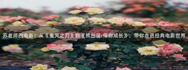 樱花视频刷色软件免费：苏老师的电影：从《鬼灭之刃》到《熊出没·伴你成长》，带你走进经典电影世界