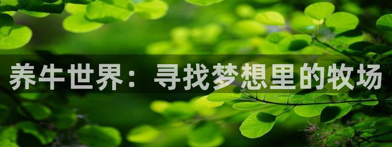 看樱花视频：养牛世界：寻找梦想里的牧场