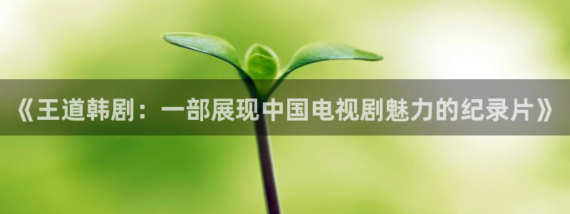 樱花视频全集