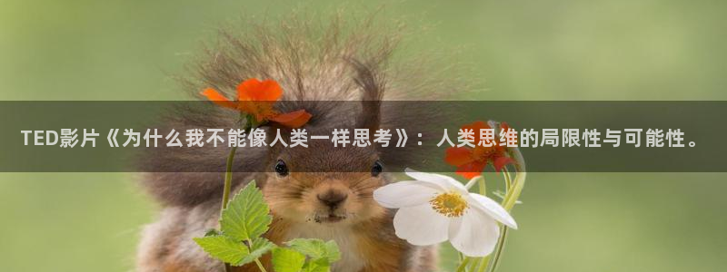 樱花视频ios