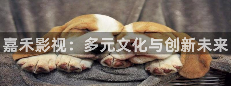 樱花视频免费高清在线观看：嘉禾影视：多元文化与创新未来