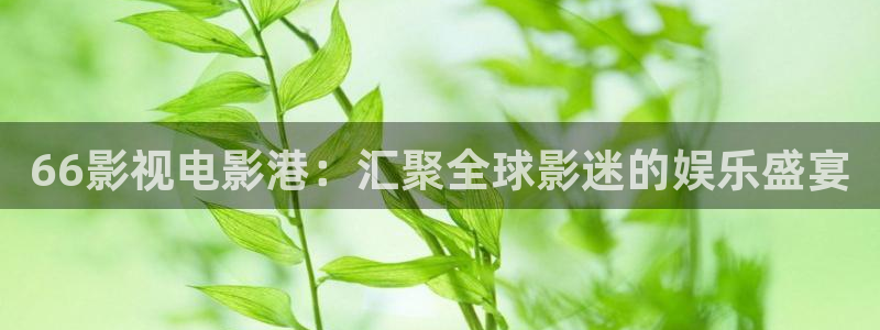 樱花视频安装：66影视电影港：汇聚全球影迷的娱乐盛宴