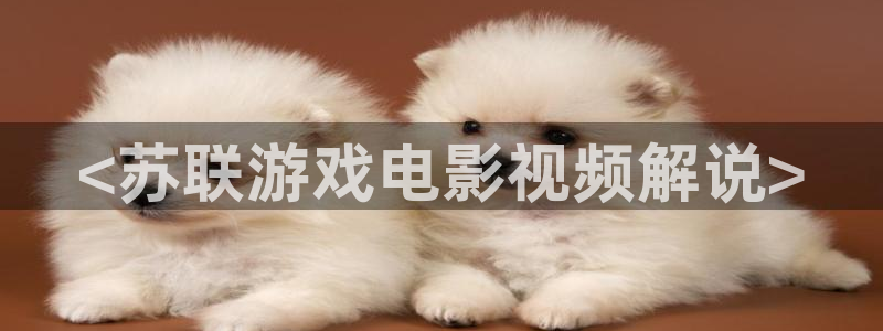 大连樱花视频：<苏联游戏电影视频解说>