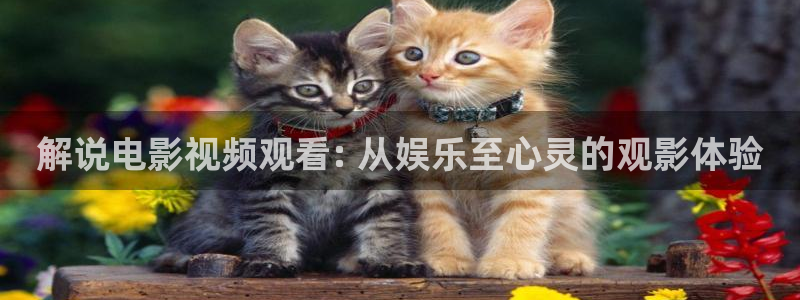 樱花视频污版：解说电影视频观看: 从娱乐至心灵的观影体验