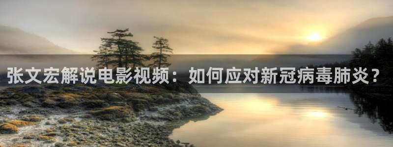 樱花视频在线观看高清电视剧：张文宏解说电影视频：如何应对新冠病毒肺炎？
