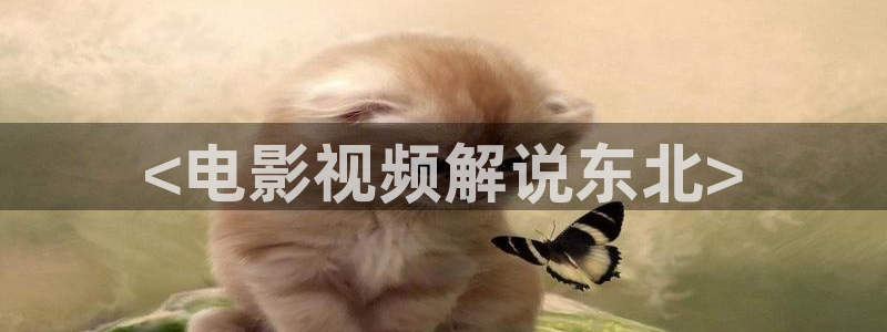 樱花影视免费看各种电影：<电影视频解说东北>