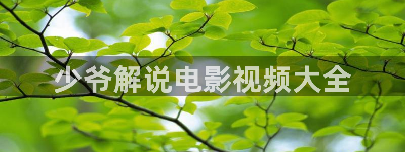 樱花视频免费下载：少爷解说电影视频大全