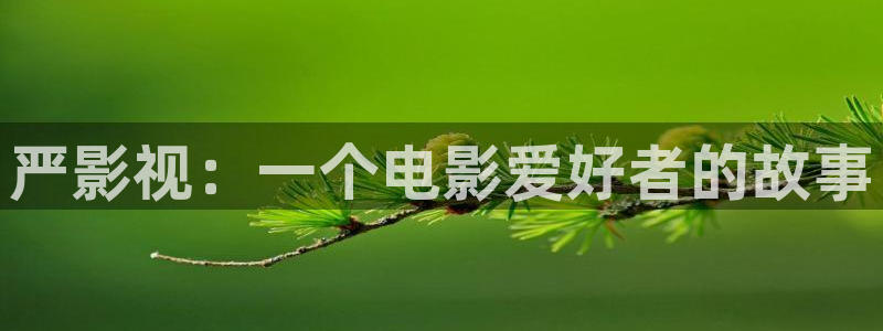 樱花视频高清在线观看：严影视：一个电影爱好者的故事