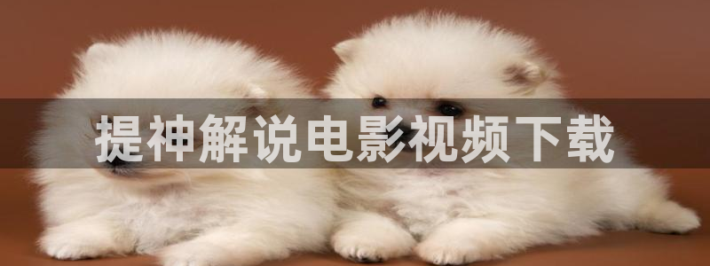 9.1樱花视频：提神解说电影视频下载