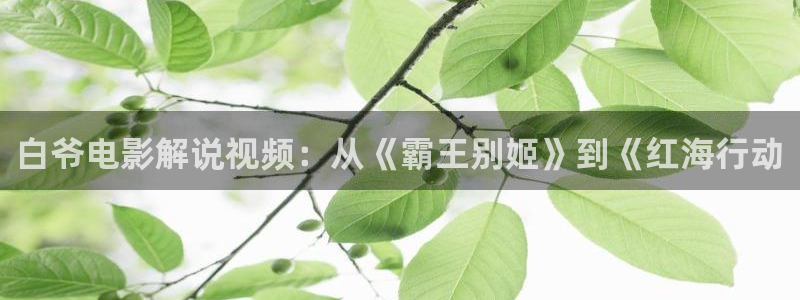 樱花视频最新：白爷电影解说视频：从《霸王别姬》到《红海行动
