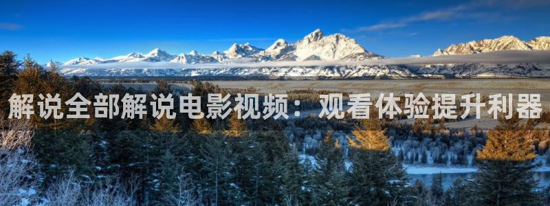 97樱花视频：解说全部解说电影视频：观看体验提升利器