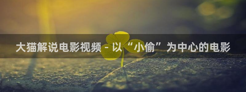樱花影视在线免费观看：大猫解说电影视频 - 以“小偷”为中心的电影