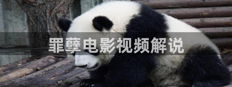 樱花影院在线观看电视：罪孽电影视频解说