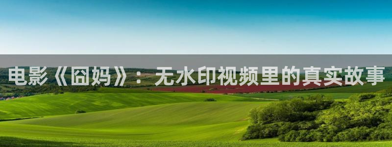 樱花视频热门电影有哪些：电影《囧妈》：无水印视频里的真实故事