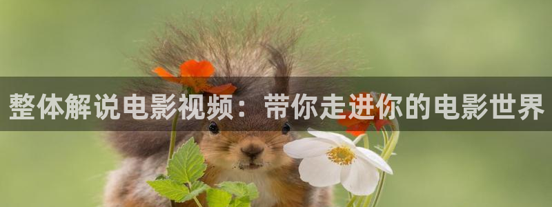 樱花视频樱花：整体解说电影视频：带你走进你的电影世界
