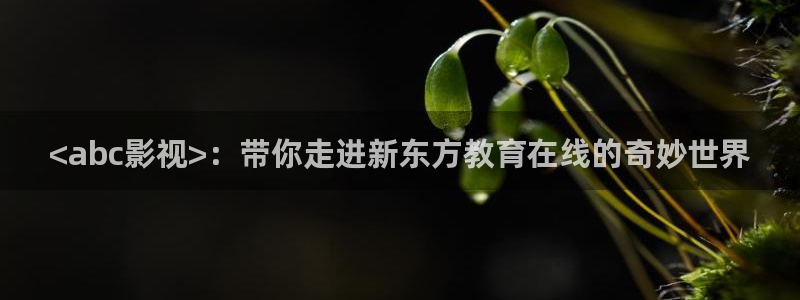 缘之空樱花影院：<abc影视>：带你走进新东方教育在线的奇妙世界