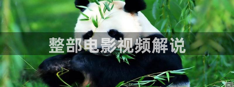樱花视频下载app下载：整部电影视频解说